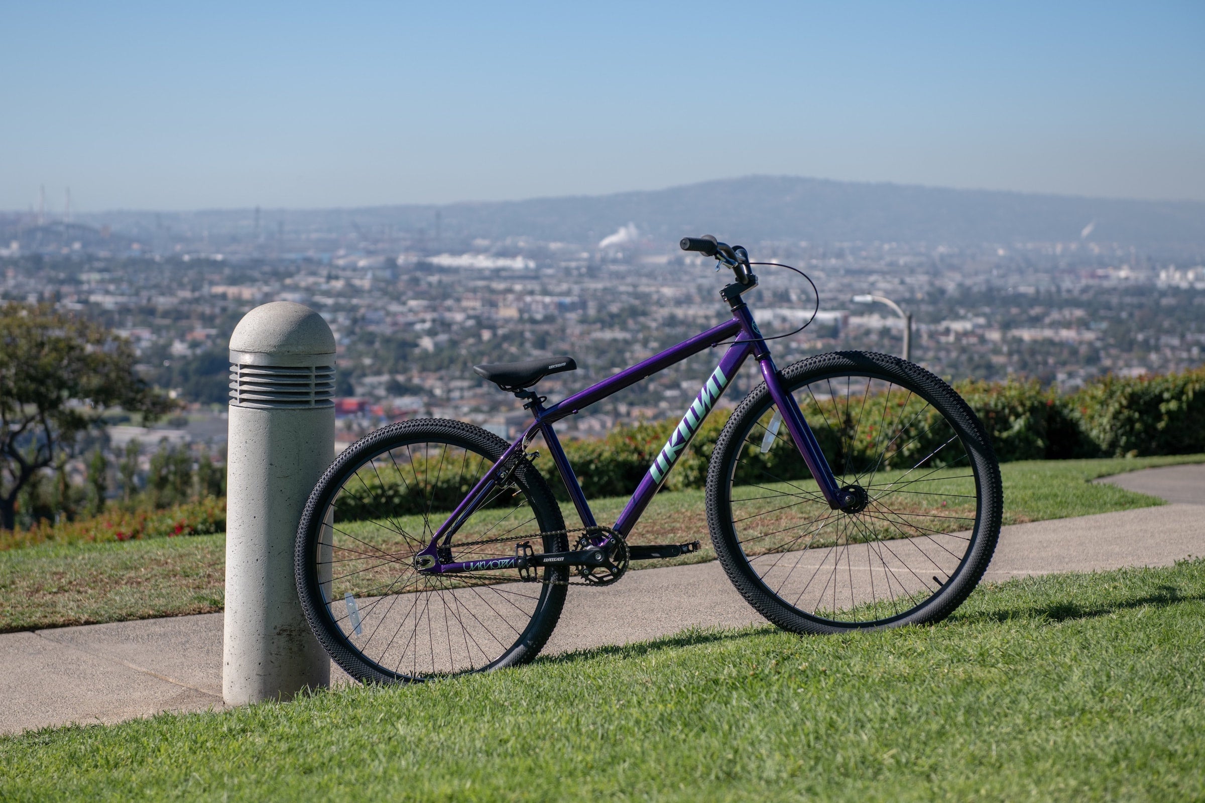 Unknown Bikes Curbstomper